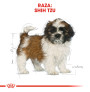 Royal canin shih tzu junior Royal canin shih tzu junior