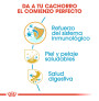 Royal canin shih tzu junior Royal canin shih tzu junior