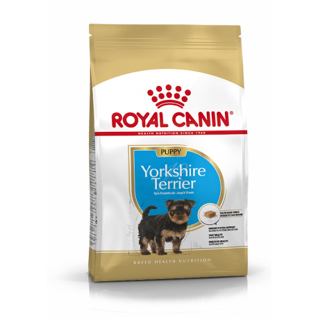 Royal canin yorkshire puppy