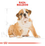 Royal canin bulldog junior