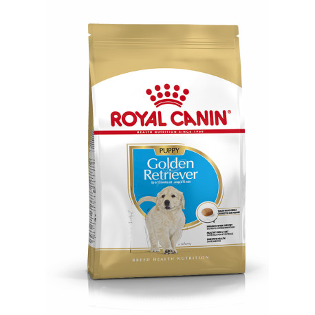 Royal canin golden junior para perros