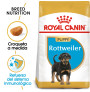 Royal canin rottweiler junior Royal canin rottweiler junior
