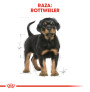 Royal canin rottweiler junior Royal canin rottweiler junior