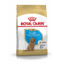 Royal canin caniche puppy Royal canin caniche puppy