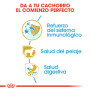Royal canin caniche puppy Royal canin caniche puppy
