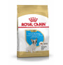 Royal canin bulldog francés junior
