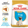 Royal canin carlino junior Royal canin carlino junior