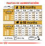 Royal canin carlino junior Royal canin carlino junior