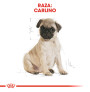 Royal canin carlino junior Royal canin carlino junior