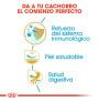 Royal canin carlino junior Royal canin carlino junior