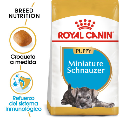 Royal canin schnauzer junior Royal canin schnauzer junior
