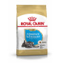 Royal canin schnauzer junior Royal canin schnauzer junior