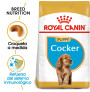 Royal canin cocker junior Royal canin cocker junior