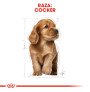 Royal canin cocker junior Royal canin cocker junior
