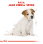 Royal canin jack russell junior Royal canin jack russell junior