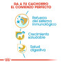 Royal canin jack russell junior Royal canin jack russell junior
