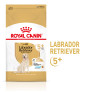 Royal canin labrador retriever adult 5+