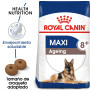 Royal canin maxi ageing +8 para perros Royal canin maxi ageing +8 para perros