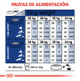 Royal canin maxi ageing +8 para perros Royal canin maxi ageing +8 para perros