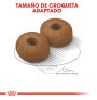 Royal canin maxi ageing +8 para perros Royal canin maxi ageing +8 para perros