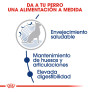 Royal canin maxi ageing +8 para perros Royal canin maxi ageing +8 para perros