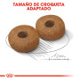Royal canin medium ageing +10 para perros Royal canin medium ageing +10 para perros