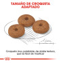 Royal canin mini ageing +12 para perros Royal canin mini ageing +12 para perros