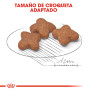 Royal canin mini adult +8 para perros Royal canin mini adult +8 para perros