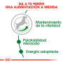 Royal canin mini adult +8 para perros Royal canin mini adult +8 para perros