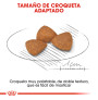 Royal canin x-small ageing+12 para perros mini Royal canin x-small ageing+12 para perros mini
