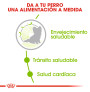 Royal canin x-small ageing+12 para perros mini Royal canin x-small ageing+12 para perros mini