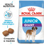 Royal canin giant junior para perros