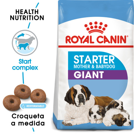Royal canin giant starter para cachorros y madres Royal canin giant starter para cachorros y madres