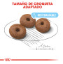 Royal canin giant starter para cachorros y madres Royal canin giant starter para cachorros y madres