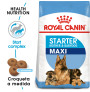 Royal canin maxi starter para cachorros y madres Royal canin maxi starter para cachorros y madres