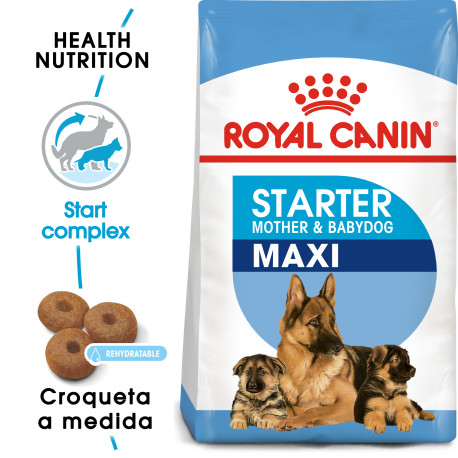 Royal canin maxi starter para cachorros y madres Royal canin maxi starter para cachorros y madres