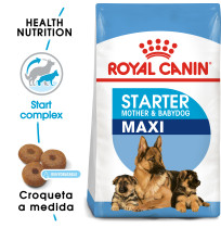 Royal canin maxi starter para cachorros y madres