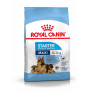 Royal canin maxi starter para cachorros y madres Royal canin maxi starter para cachorros y madres