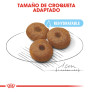 Royal canin maxi starter para cachorros y madres Royal canin maxi starter para cachorros y madres