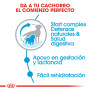 Royal canin medium starter para cachorros y madres Royal canin medium starter para cachorros y madres