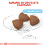 Royal canin medium starter para cachorros y madres Royal canin medium starter para cachorros y madres