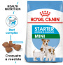 Royal canin mini starter para cachorros y madres Royal canin mini starter para cachorros y madres