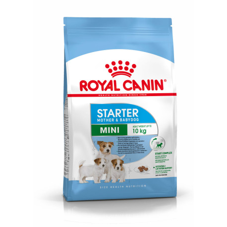 Royal canin mini starter para cachorros y madres