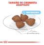 Royal canin mini starter para cachorros y madres Royal canin mini starter para cachorros y madres