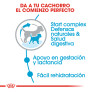 Royal canin mini starter para cachorros y madres Royal canin mini starter para cachorros y madres