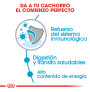 Royal canin x-small puppy para cachorros mini Royal canin x-small puppy para cachorros mini