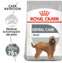 Royal canin maxi dental care para perros Royal canin maxi dental care para perros
