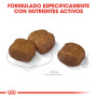 Royal canin maxi dental care para perros Royal canin maxi dental care para perros