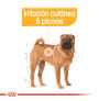 Royal canin medium dermacomfort para perros Royal canin medium dermacomfort para perros