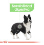Royal canin medium digestive care para perros Royal canin medium digestive care para perros